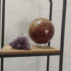 Large Genuine Polished Petrified Wood Sphere (5 " Tall , 5 " Wide, and 2.8  lbs)