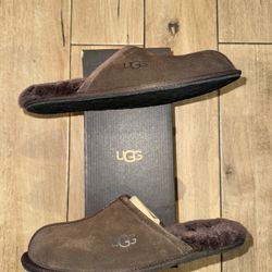 UGG Slippers 