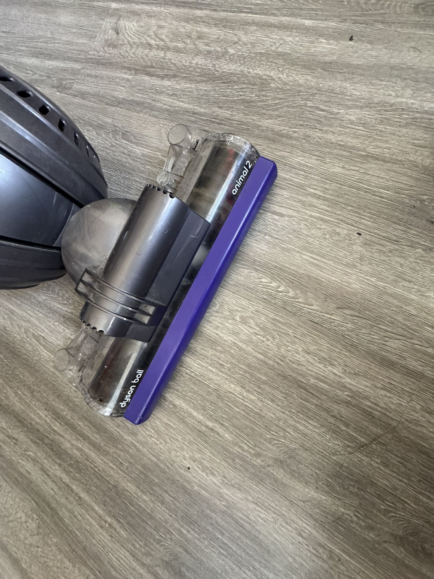 Dyson Ball Vacuum Animal 2