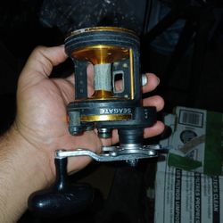 Daiwa SGT40H Seagate Saltwater Reels