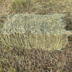 Local Grass Hay