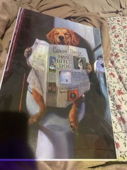 Funny picture with Labrador reading newspaper