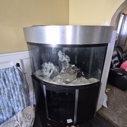 110 Gallon Corner Aquarium 