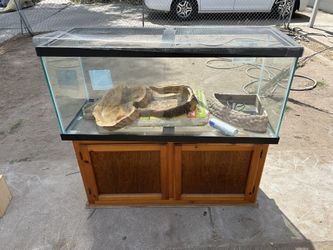 Reptile tank