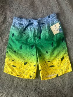 Boy Water Shorts