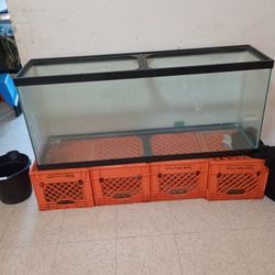 55gal Fish Tank 