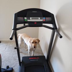 Weslo Treadmill  Dog Not Included 