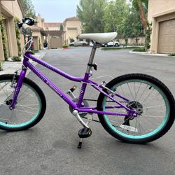 Guardian Kids Bike
