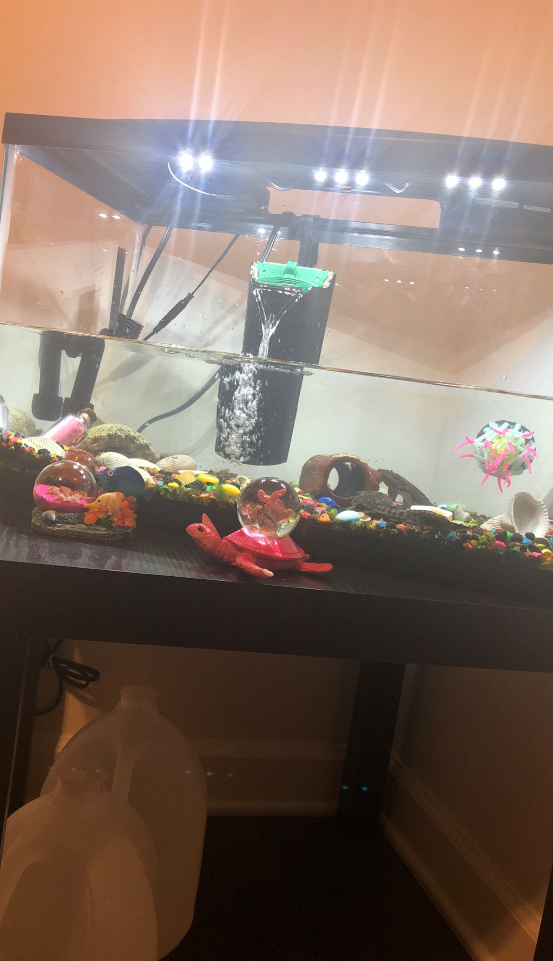 GloFish fish tank, 10 gallon / Pecera