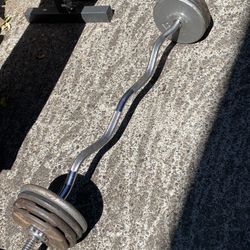 Curl Bar With 65 Lbs Of Standard Weights 