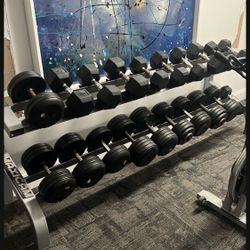 Rack De Pesas Dumbbells 