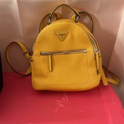 Guess Bag/back back 