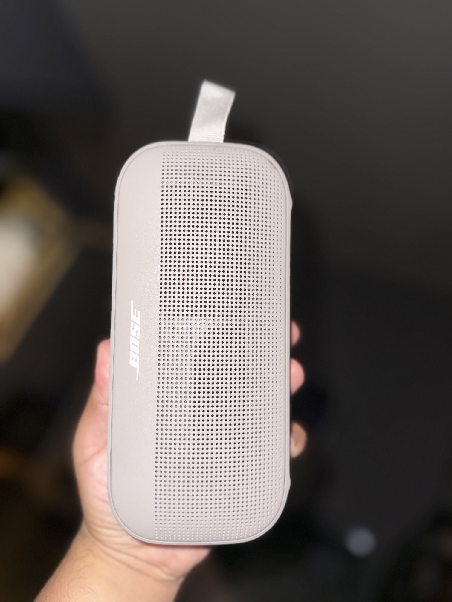 Bose Sound Link Flex