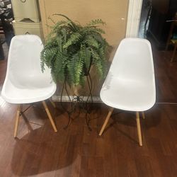 Set Of IKEA Chairs : White With Wood & Metal Base: Very Good Condition 