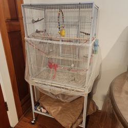 Canari Bird With Large Cage
