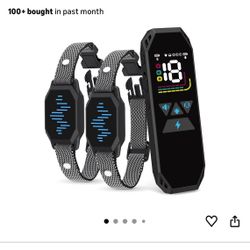 Training E Collar For Dogs 