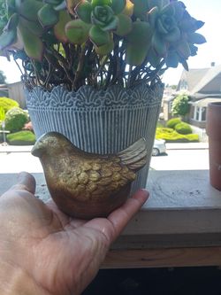Small bird decor