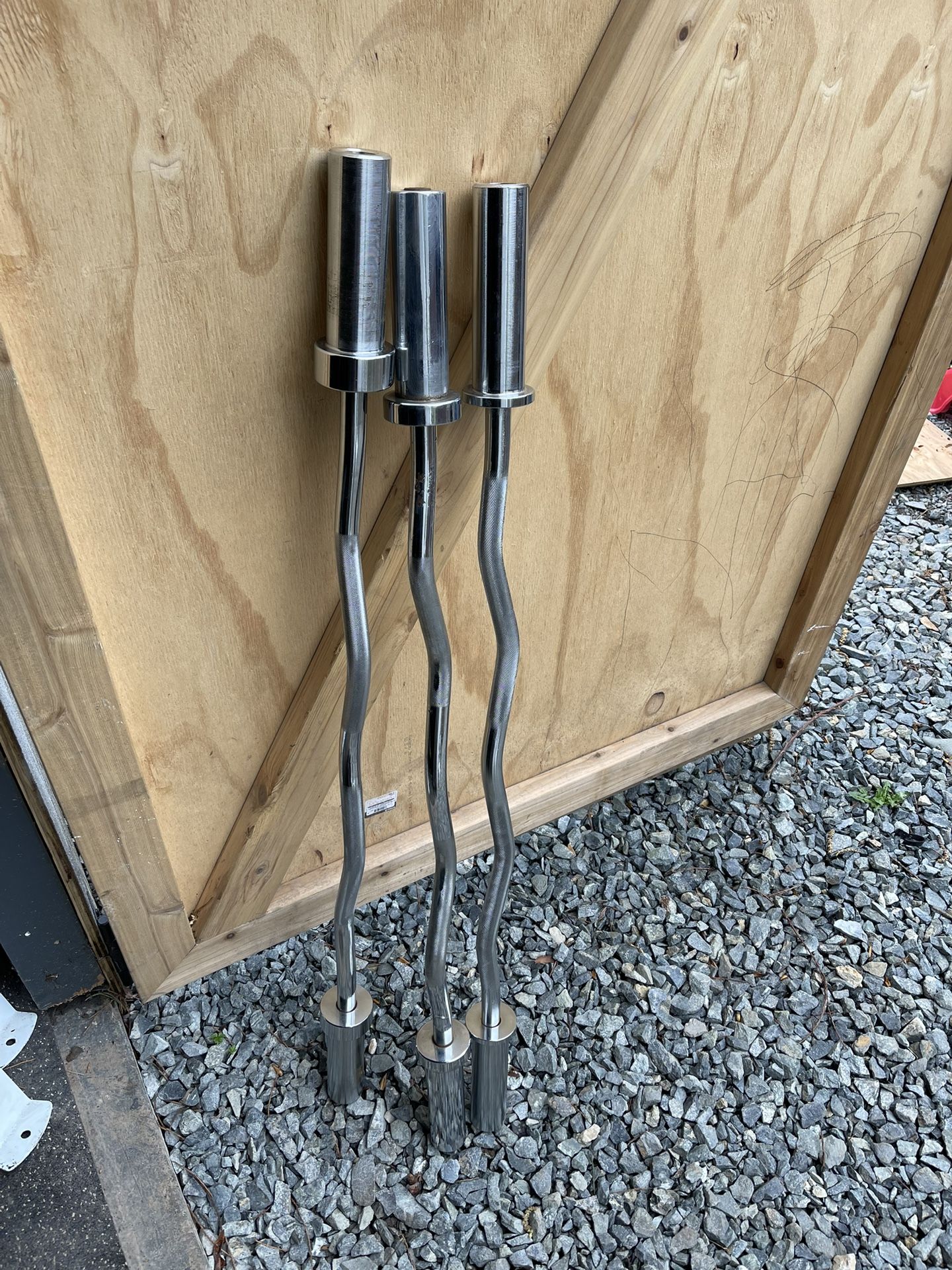 Olympic Curl Bars