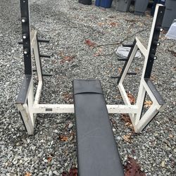 Bench Press