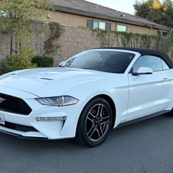 2020 Ford Mustang 