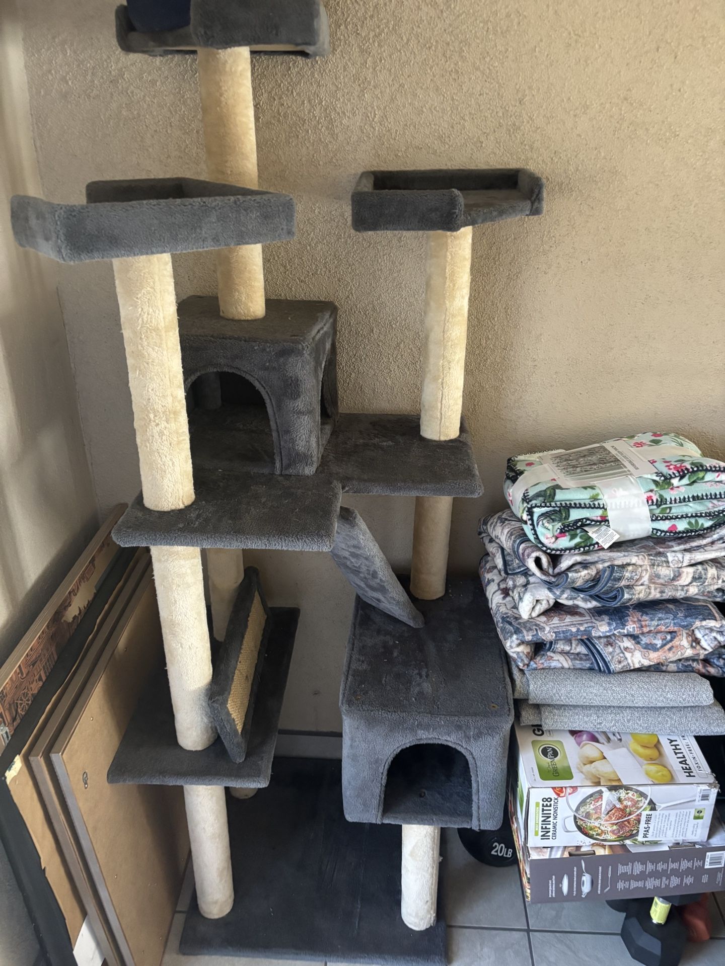 Cat Jungle