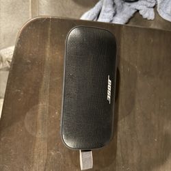 Bose Flex Speaker