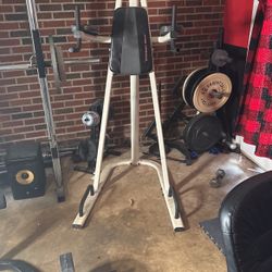 Fitness Gear Dip Bar