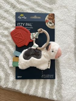 Itzy Pal teether toy
