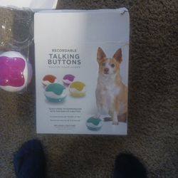 Recordable Talking Buttons