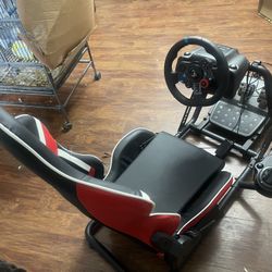 PS4 / PS5 Racing Rig