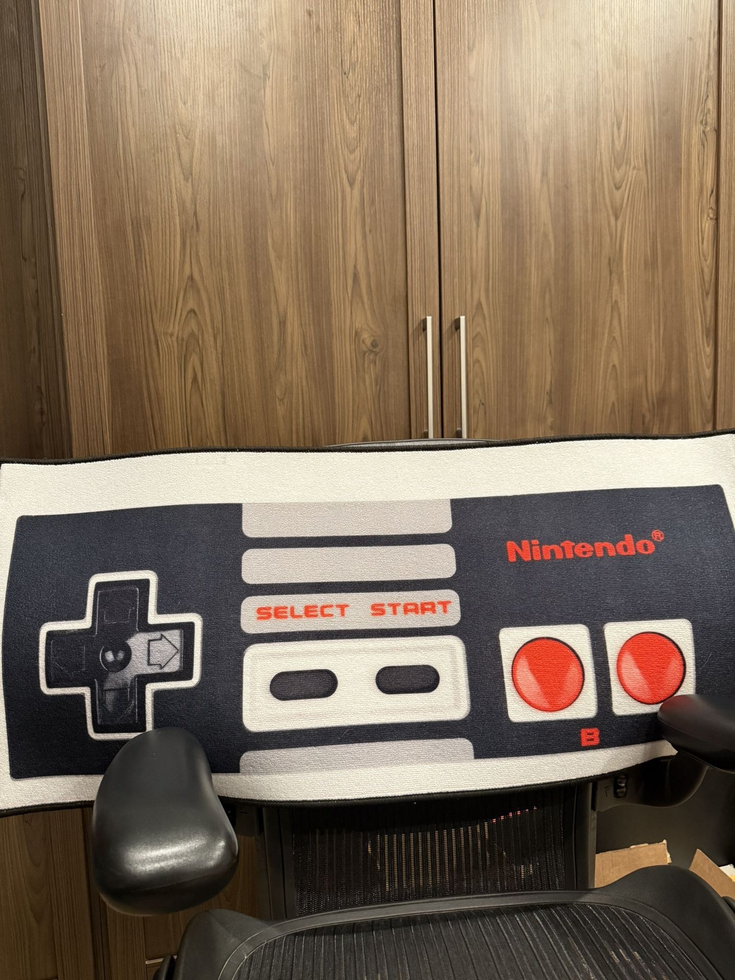 Nintendo controller rug
