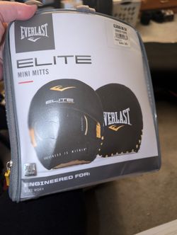 Everlast Mini Mitts For Boxing