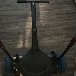 Hover Board and Cart