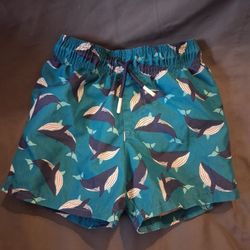 Kids Swim Tunks