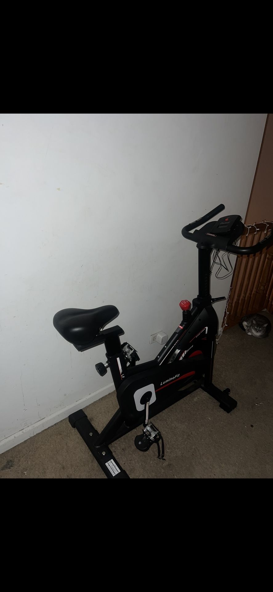 Exercise Bike