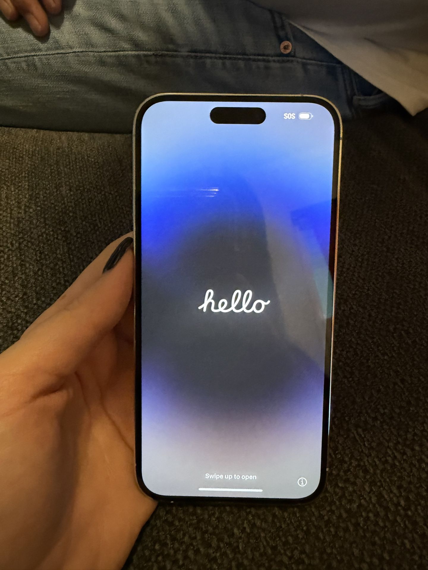 iPhone 14 Pro Max