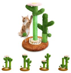 Cat scratcher