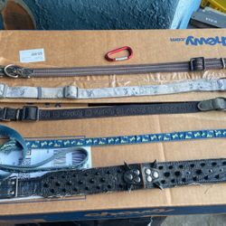 Dog Collars And One Blue Leash