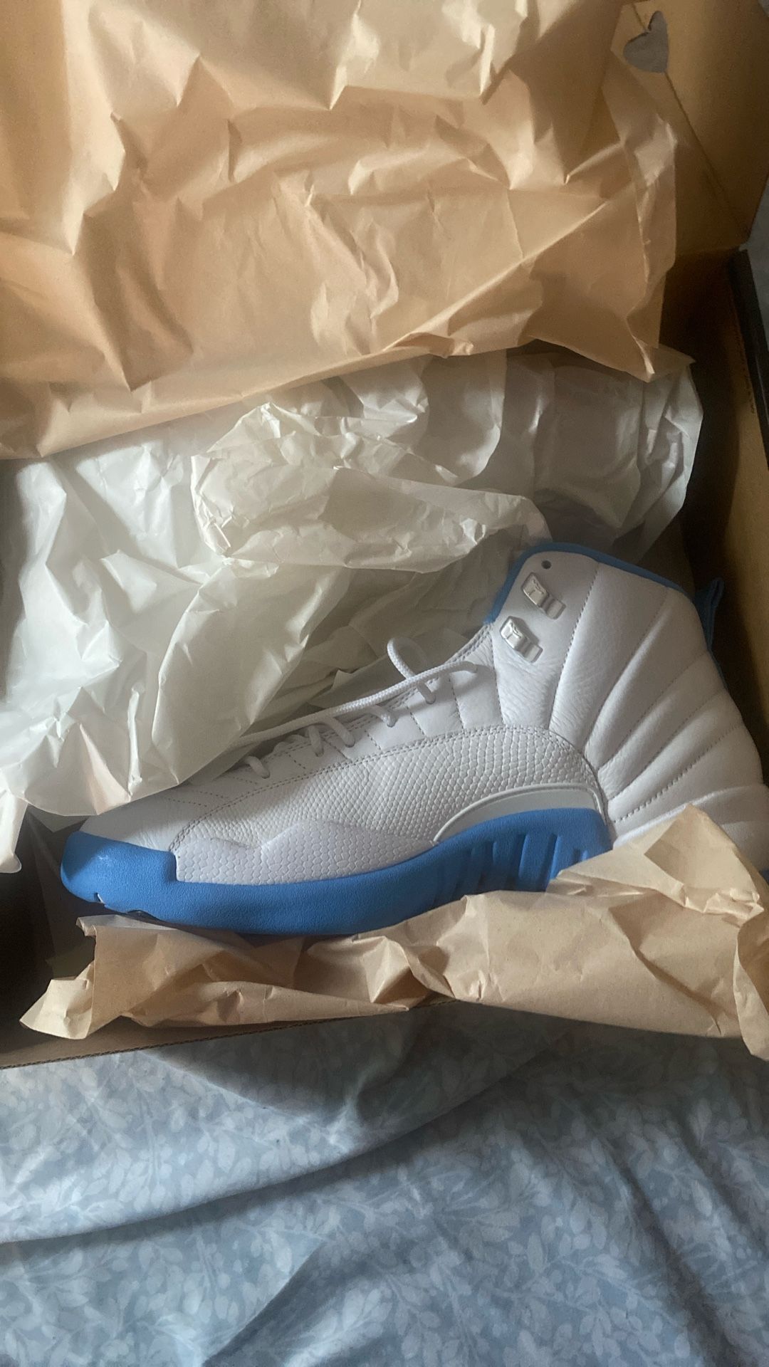 Jordan 12 White And Baby Blue Ds