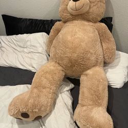 teddy bear 