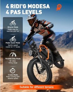1500W Peak Electric Bike for Adults, 30MPH Electric Bike, 20" Fat Tire E-Mountain Bikes, 48V 15Ah Removable Battery Ebike, Dual Suspension, Hydraulic