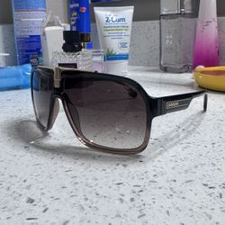 Carrera Sunglasses