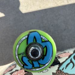 Santa Cruz Skateboard 