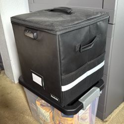 Vinyl Record Travel Case/storage 