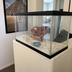 Glass Reptile Enclosure