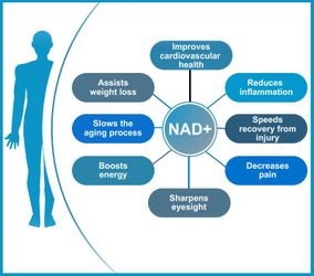 Nad Plus
