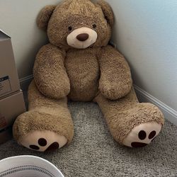 Teddy bear
