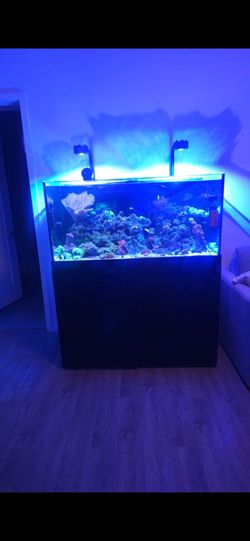 150 Reef tank
