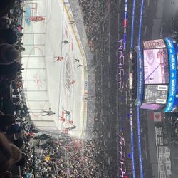 LA Kings Vs Wild 
