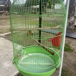 Bird Cage